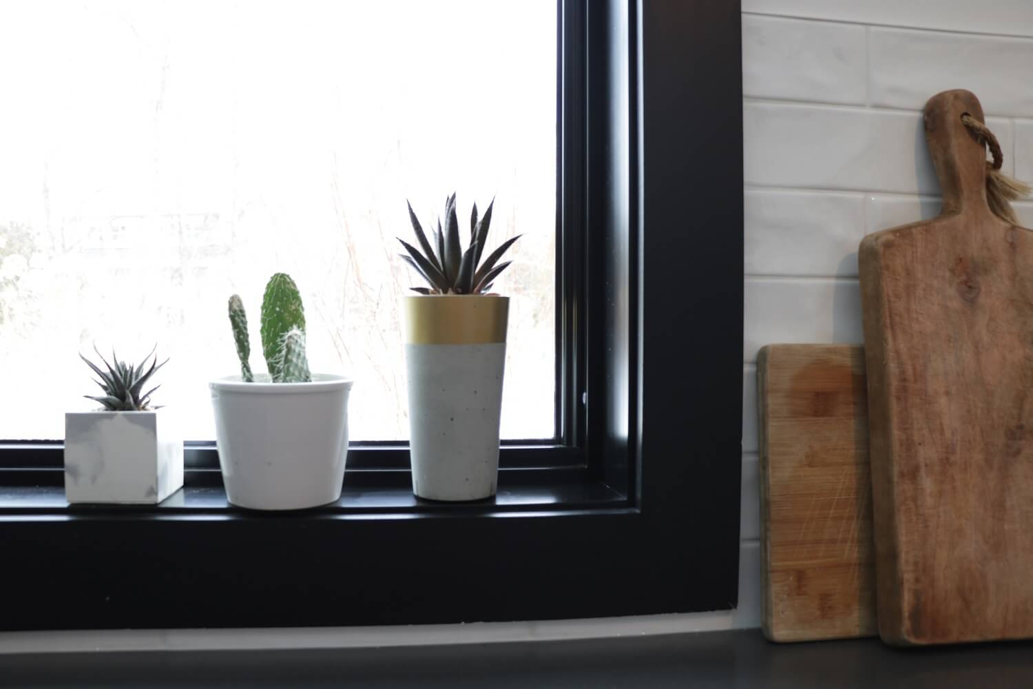 kitchen window with plants