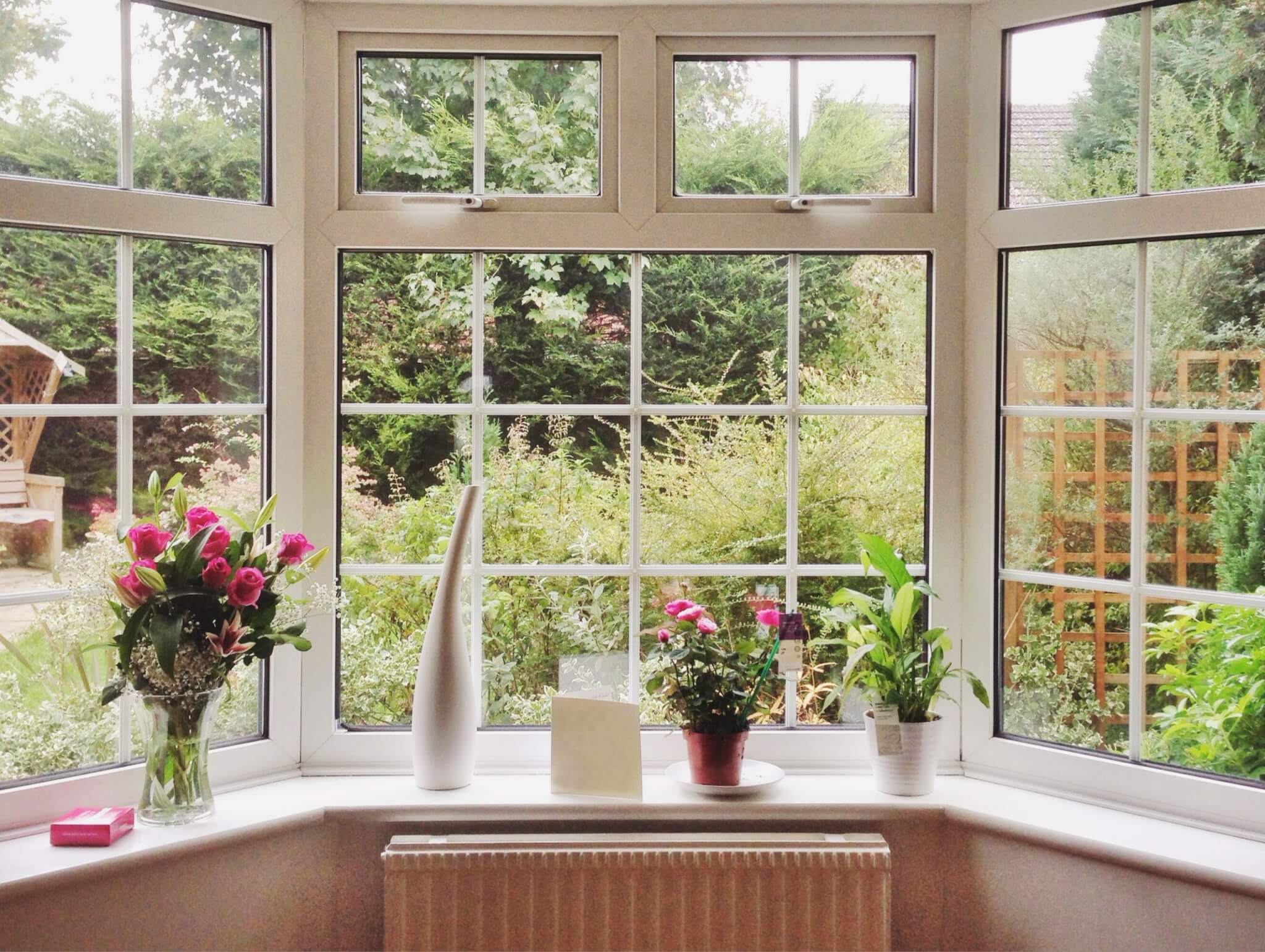 Rose bouquet and pot plants on bay window in a home