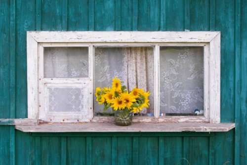Is it Time to Replace Your Old Windows