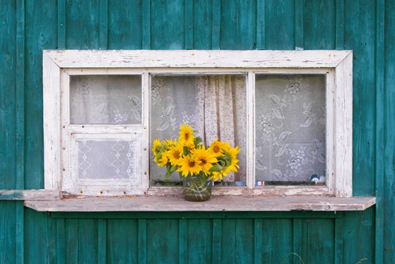 Is it Time to Replace Your Old Windows