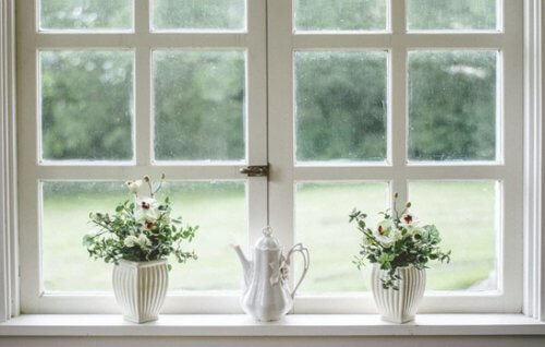Finding the Right Windows For You