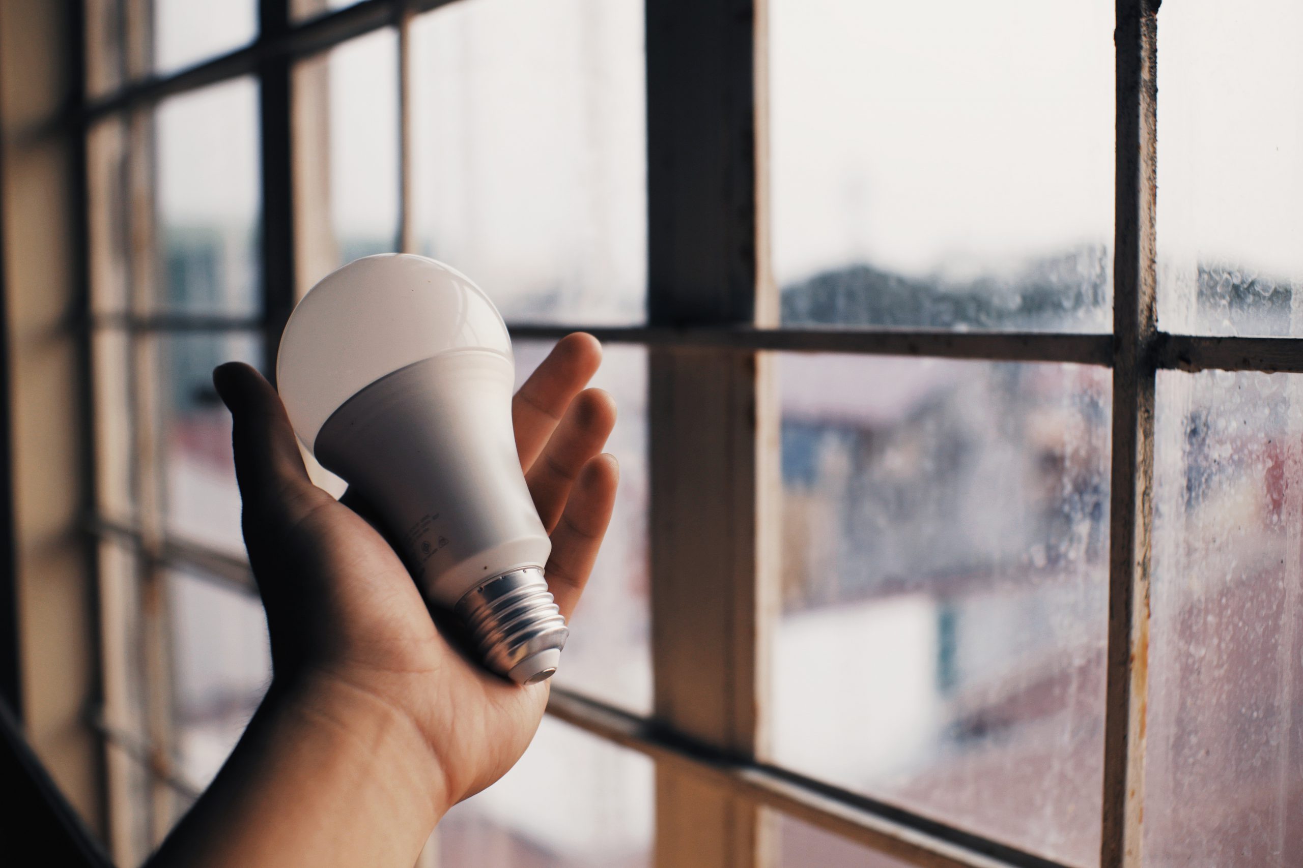 someone holding a lightbulb by a window