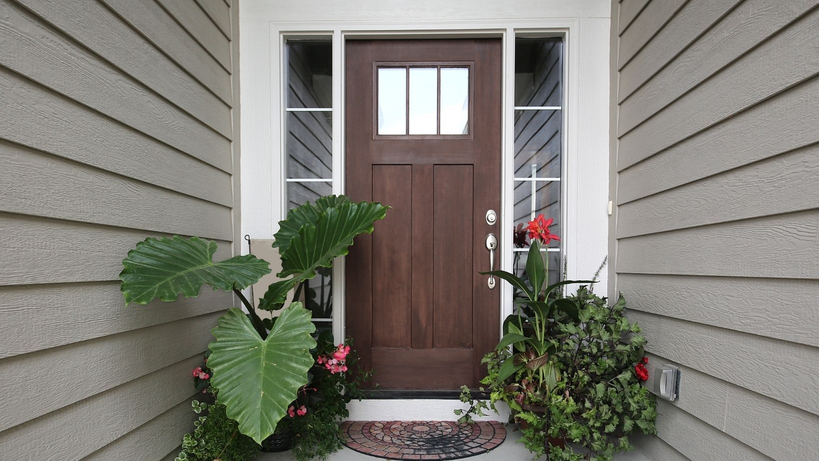 a brown front door with two big planters on each side