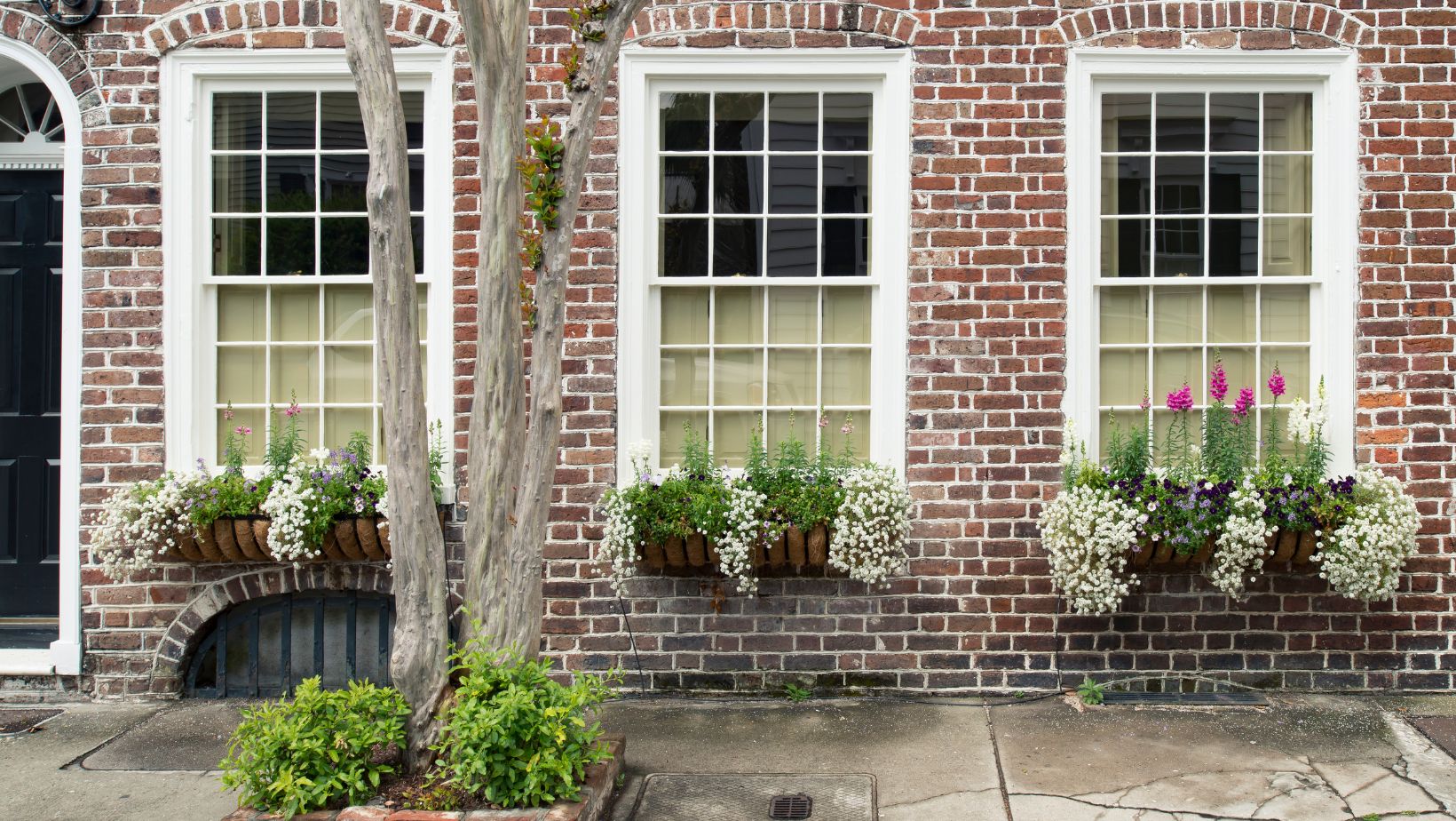 A row of white tall windows with flowers baskets on each one.