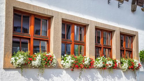 A row of windows with flowers hanging from the bottom.
